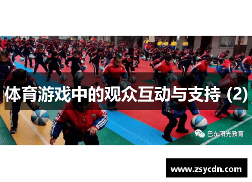 体育游戏中的观众互动与支持 (2)